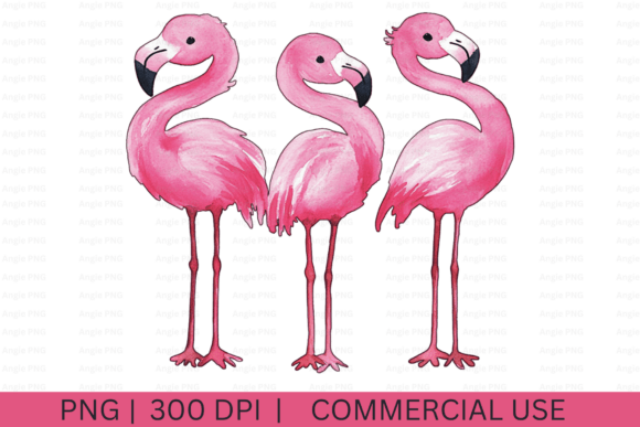 Watercolor Pink Flamingos Graphics for Crafts